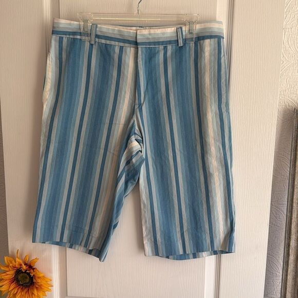 Trina Turk Blue and White Striped Men's Shorts - 32 - Excellent Condition - Picture 3 of 4